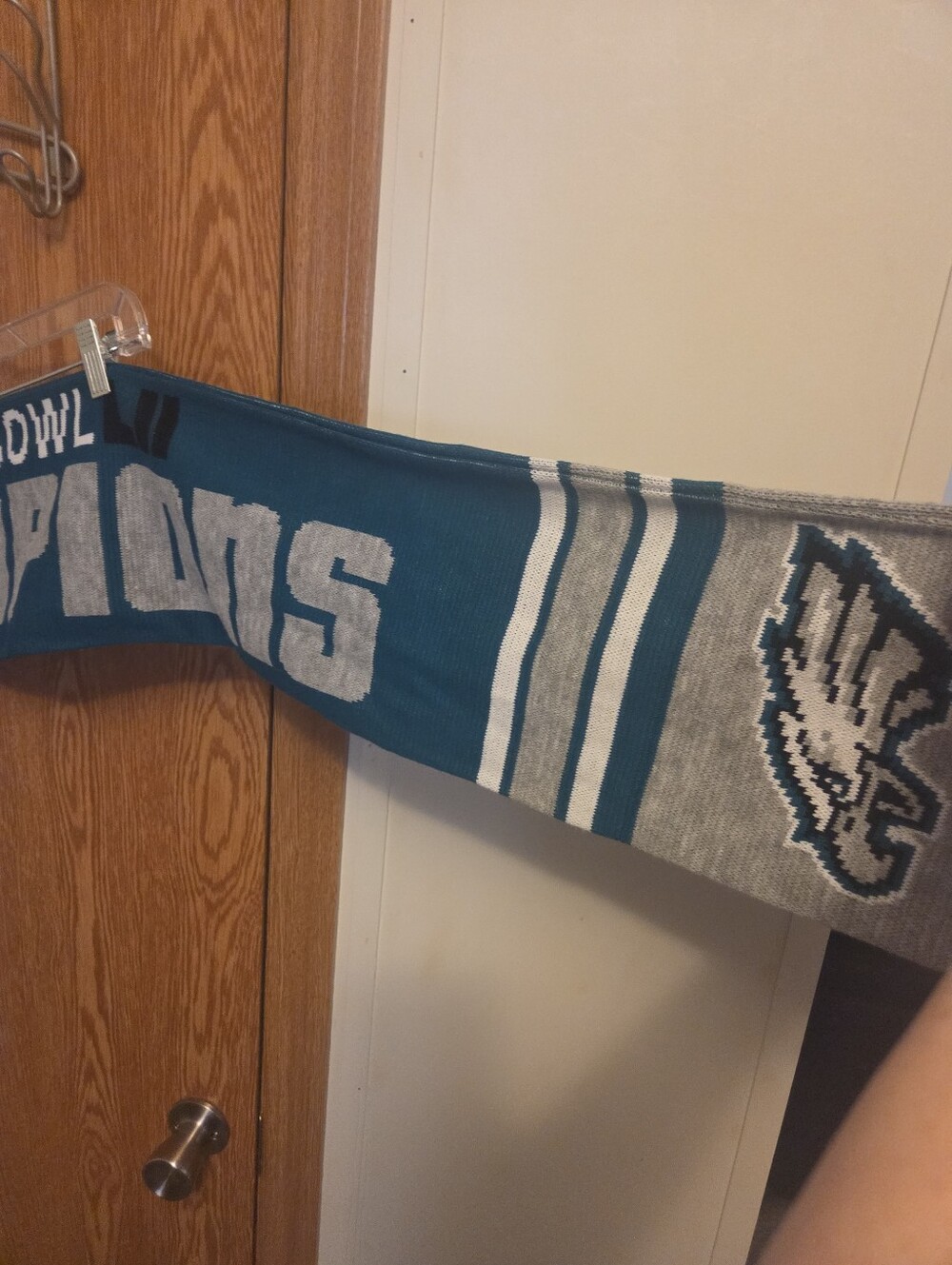 NFL Philadelphia Eagles Super Bowl 52 Champions Scarf NWT - Picture 3 of 6